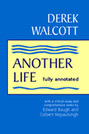Another Life: Fully Annotated