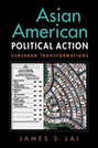 Asian American Political Action: Suburban Transformations