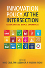 Innovation Policy at the Intersection: Global Debates and Local Experiences 